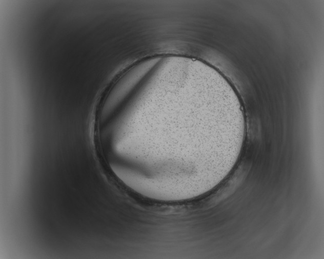 X0000100910434200807151142