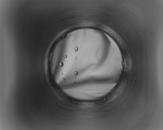 X0000100910436200807151142