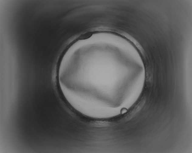 X0000100910437200807151142