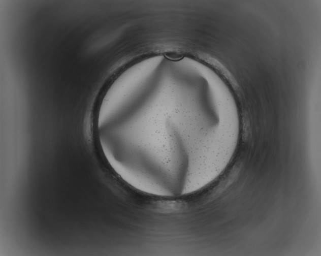 X0000100910439200807151142