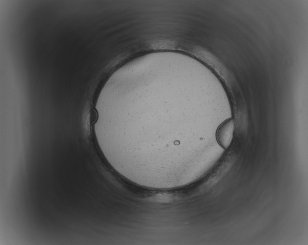 X0000100910441200807151142