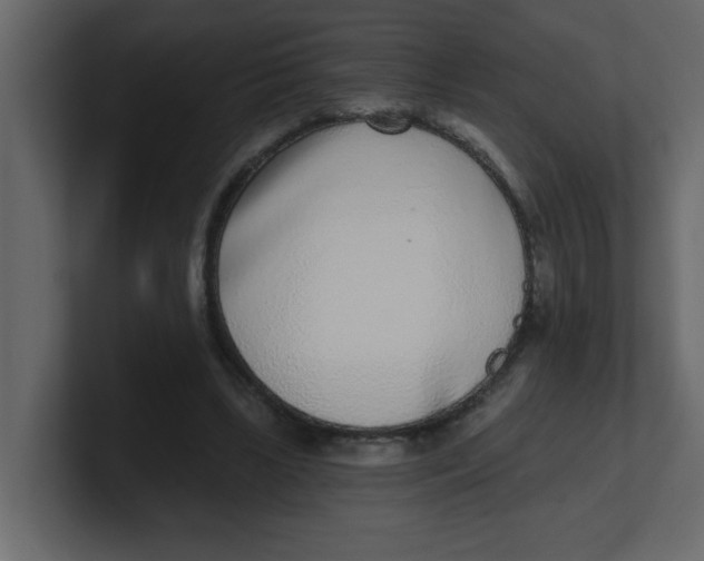 X0000100910443200807151142