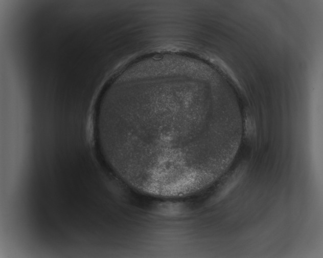 X0000100910444200807151142