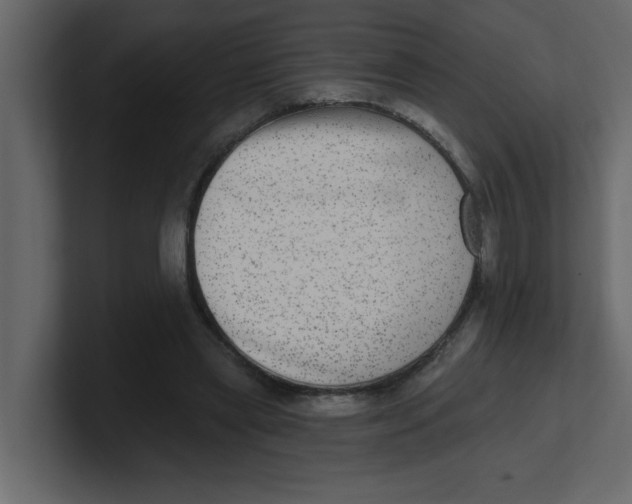 X0000100910445200807151142