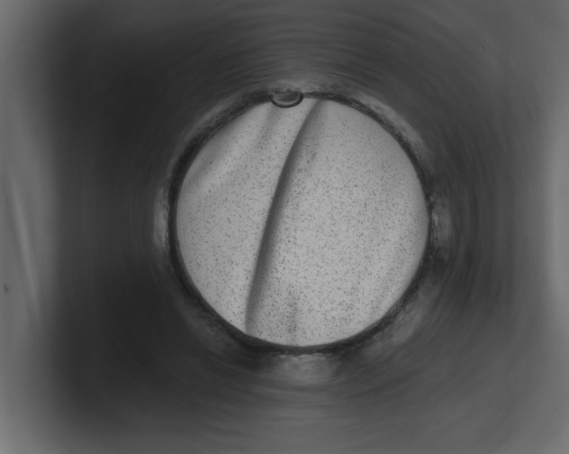 X0000100910446200807151142