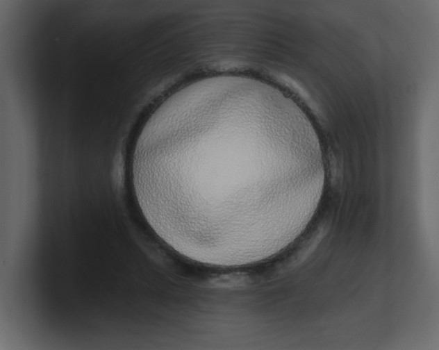 X0000100910447200807151142