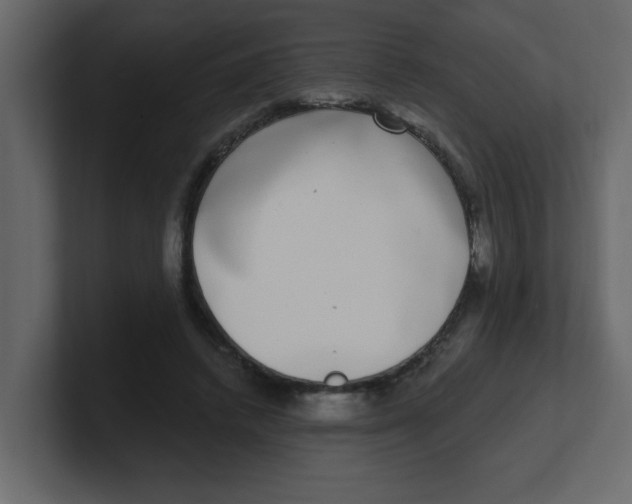 X0000100910448200807151142