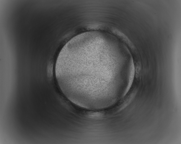 X0000100910454200807151142