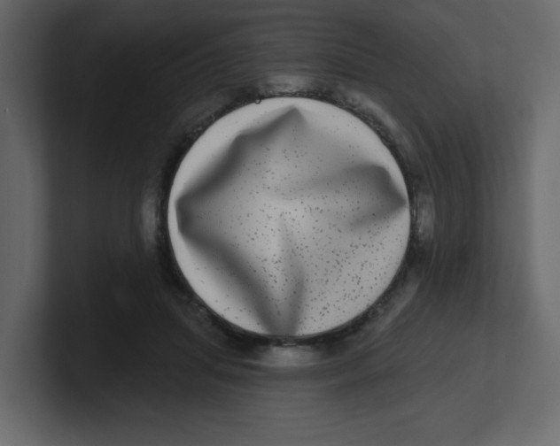 X0000100910455200807151142