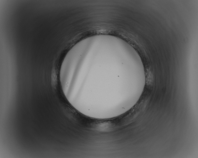 X0000100910456200807151142