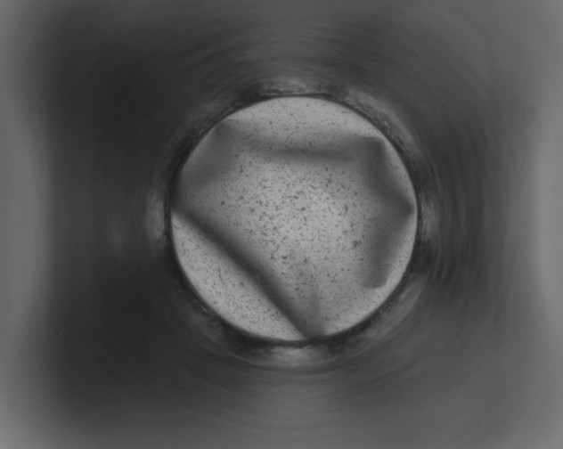 X0000100910457200807151142