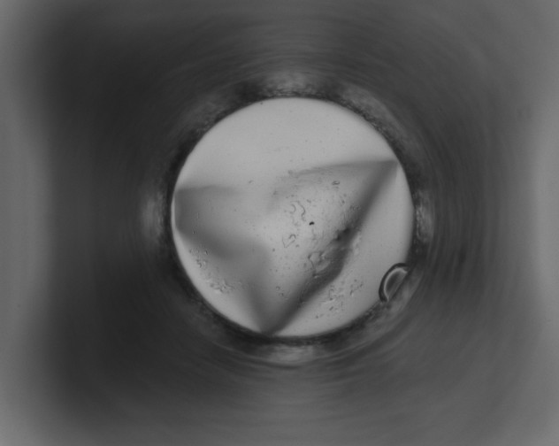 X0000100910458200807151142