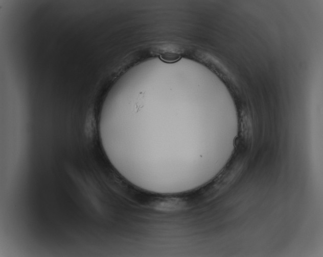 X0000100910459200807151142