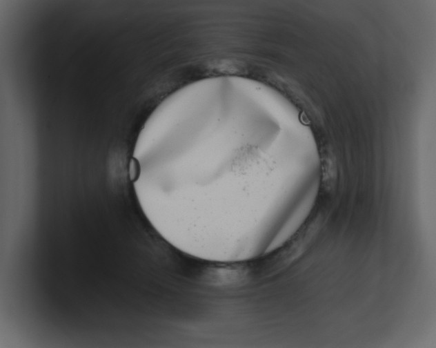 X0000100910466200807151142