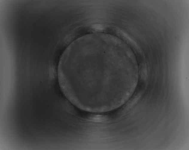 X0000100910467200807151142