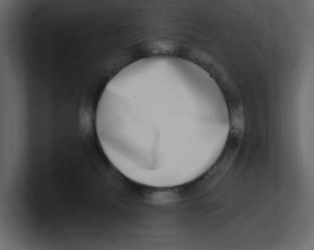 X0000100910468200807151142