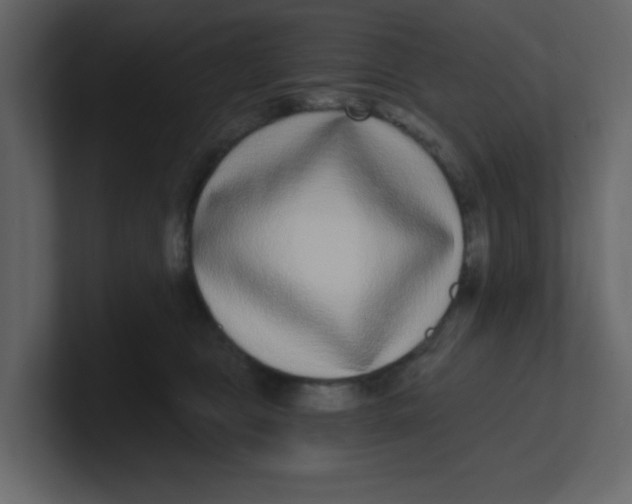 X0000100910469200807151142