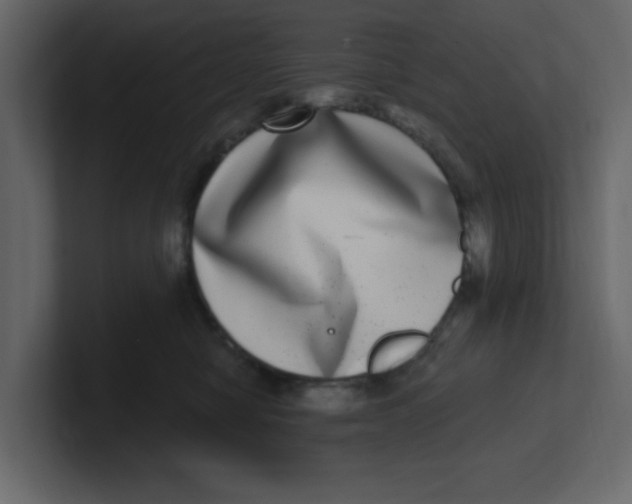 X0000100910470200807151142