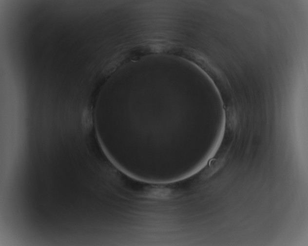 X0000100910471200807151142