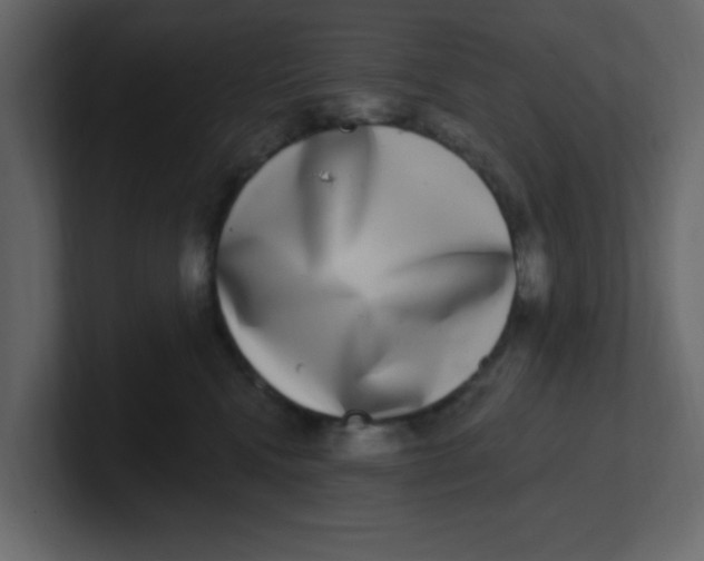 X0000100910472200807151142