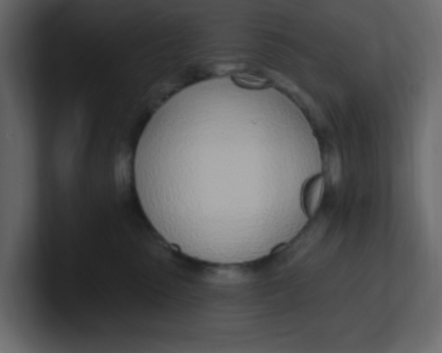 X0000100910475200807151142