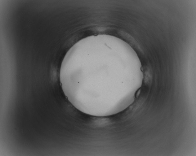 X0000100910476200807151142