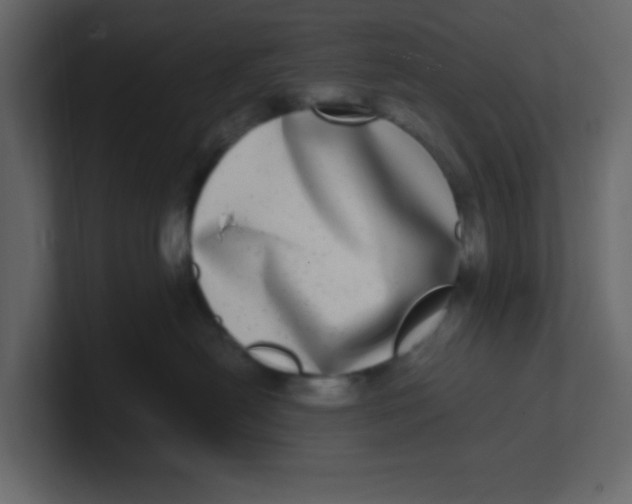 X0000100910478200807151142