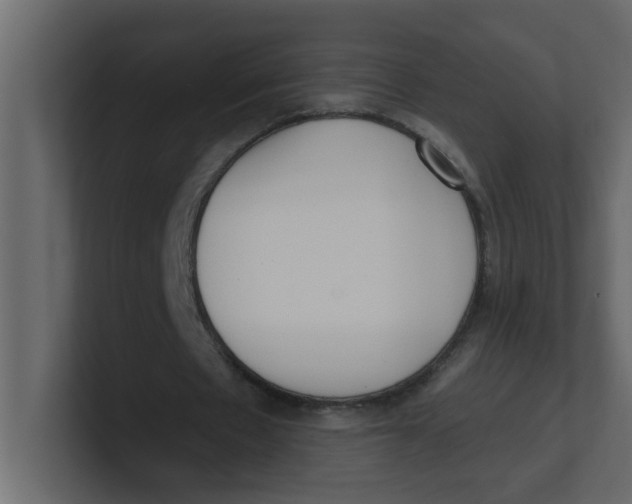 X0000100910481200807151142