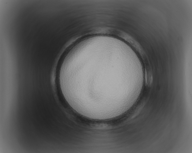 X0000100910483200807151142