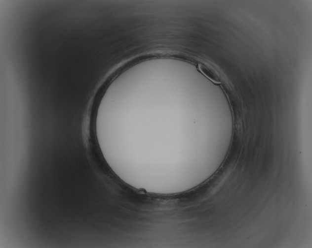 X0000100910484200807151142