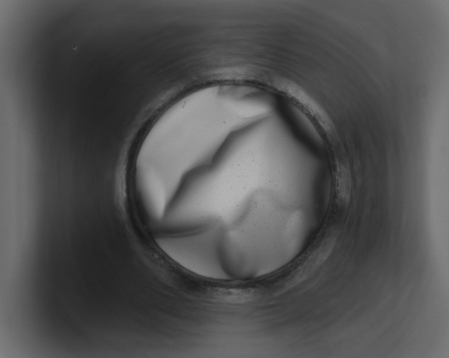 X0000100910486200807151142