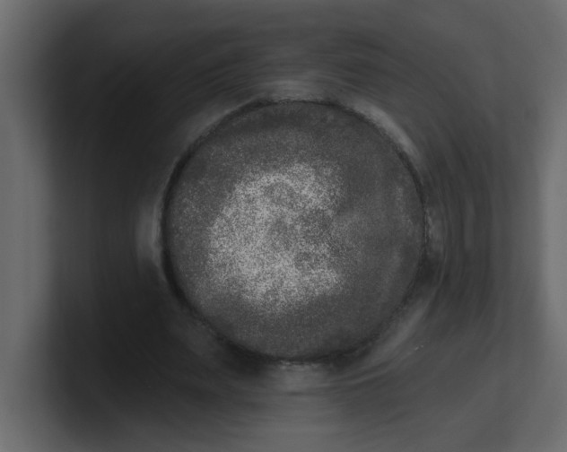 X0000100910487200807151142