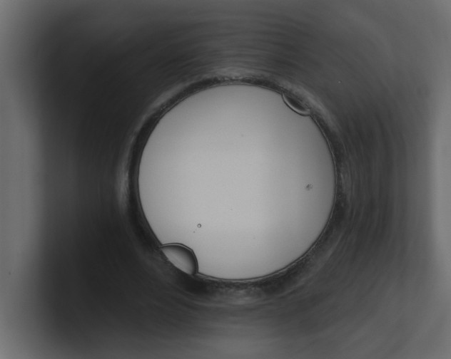 X0000100910488200807151142