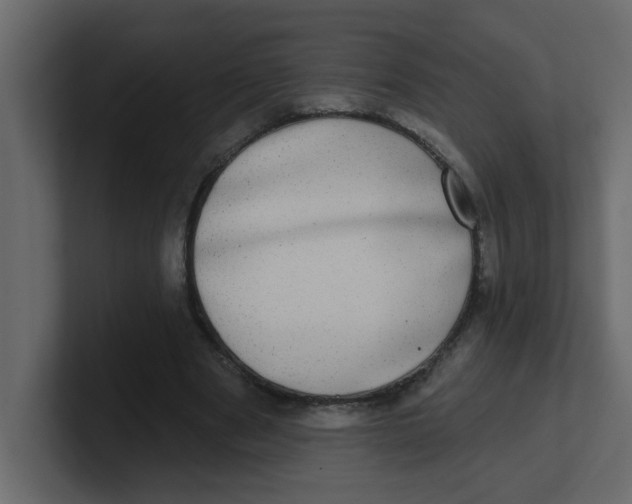 X0000100910489200807151142