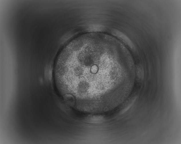 X0000100910491200807151142