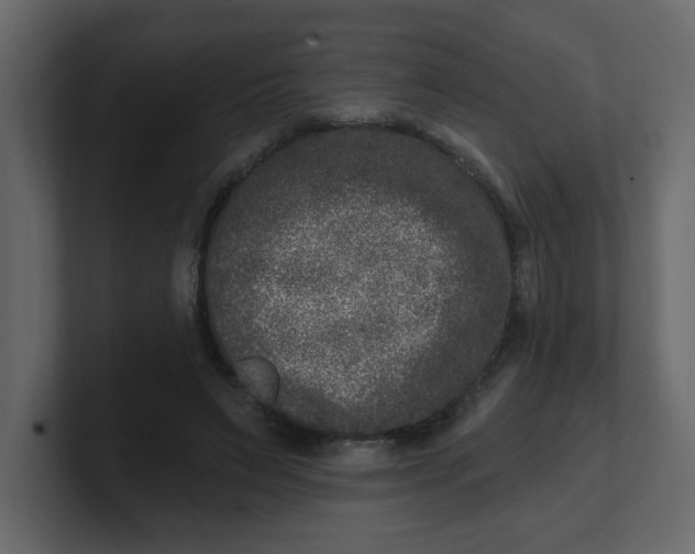 X0000100910495200807151142