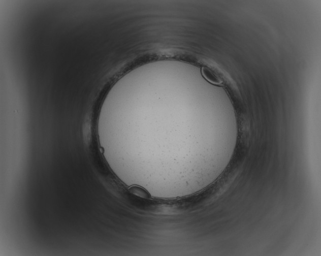 X0000100910496200807151142