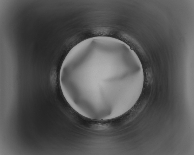 X0000100910498200807151142