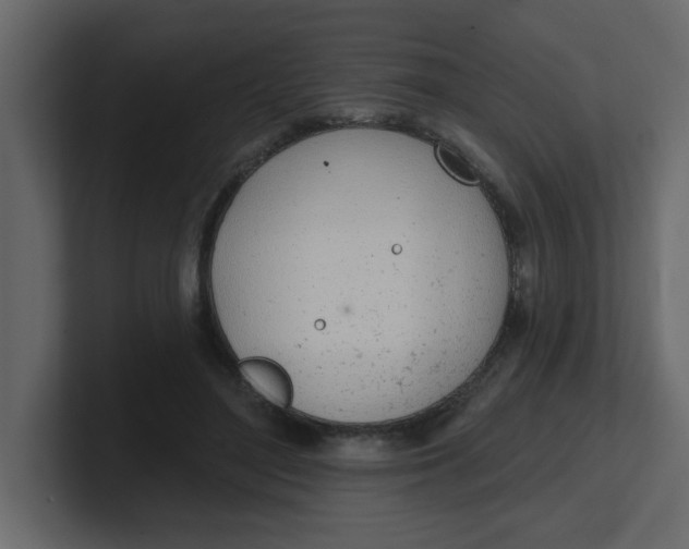 X0000100910500200807151141