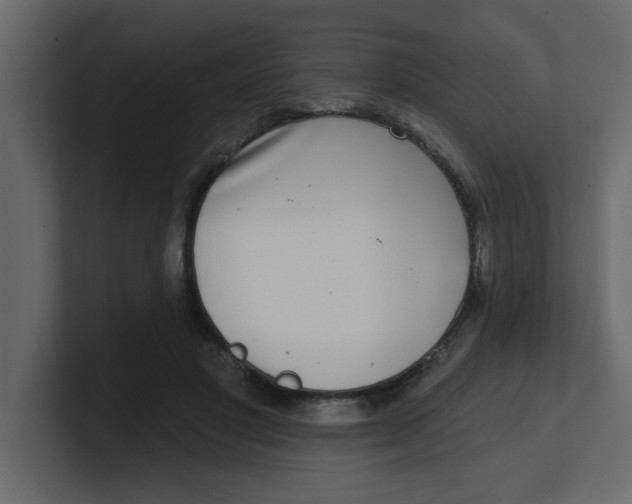 X0000100910501200807151141