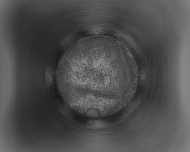 X0000100910503200807151141