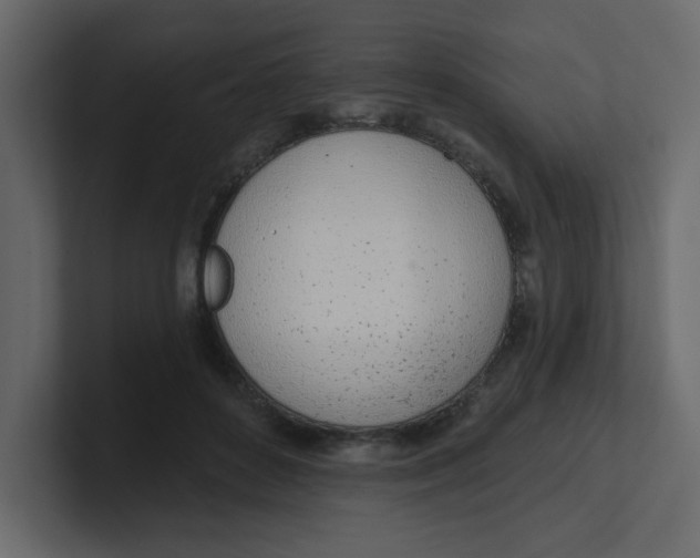 X0000100910504200807151141