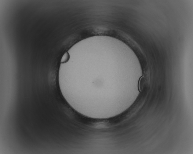 X0000100910505200807151141