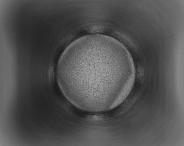 X0000100910506200807151141