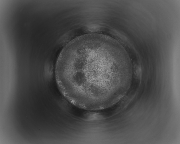 X0000100910507200807151141