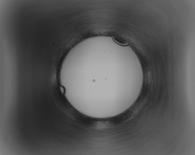 X0000100910508200807151141