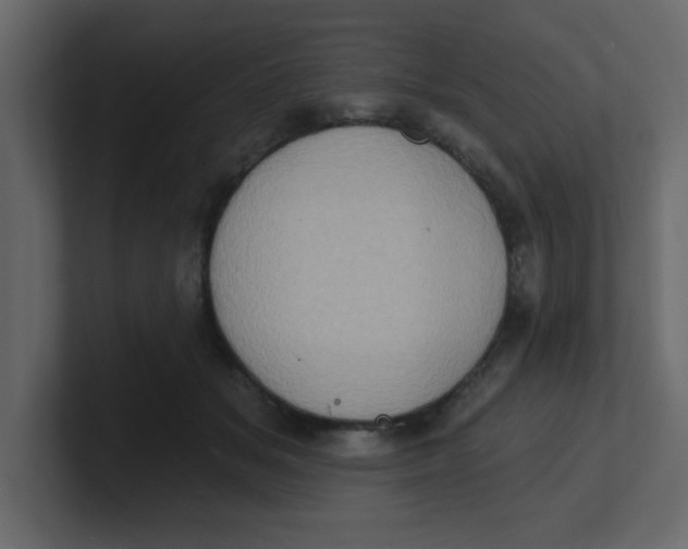 X0000100910509200807151141