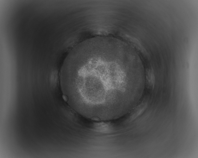 X0000100910511200807151141