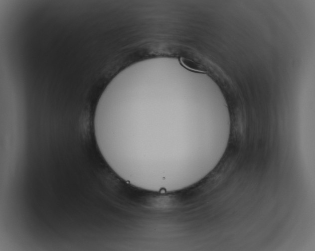 X0000100910513200807151141