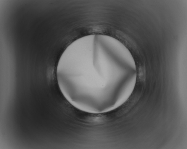 X0000100910514200807151141